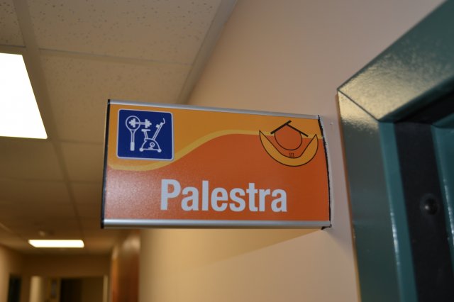 Palestra